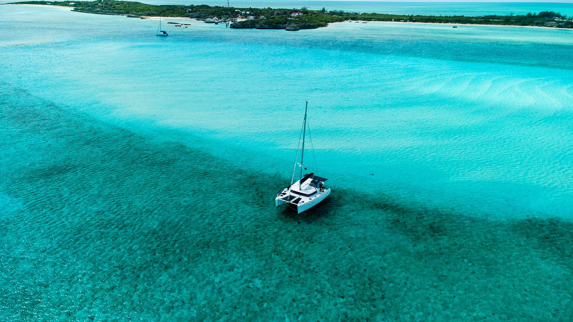 If Crabs aren’t Ducking...