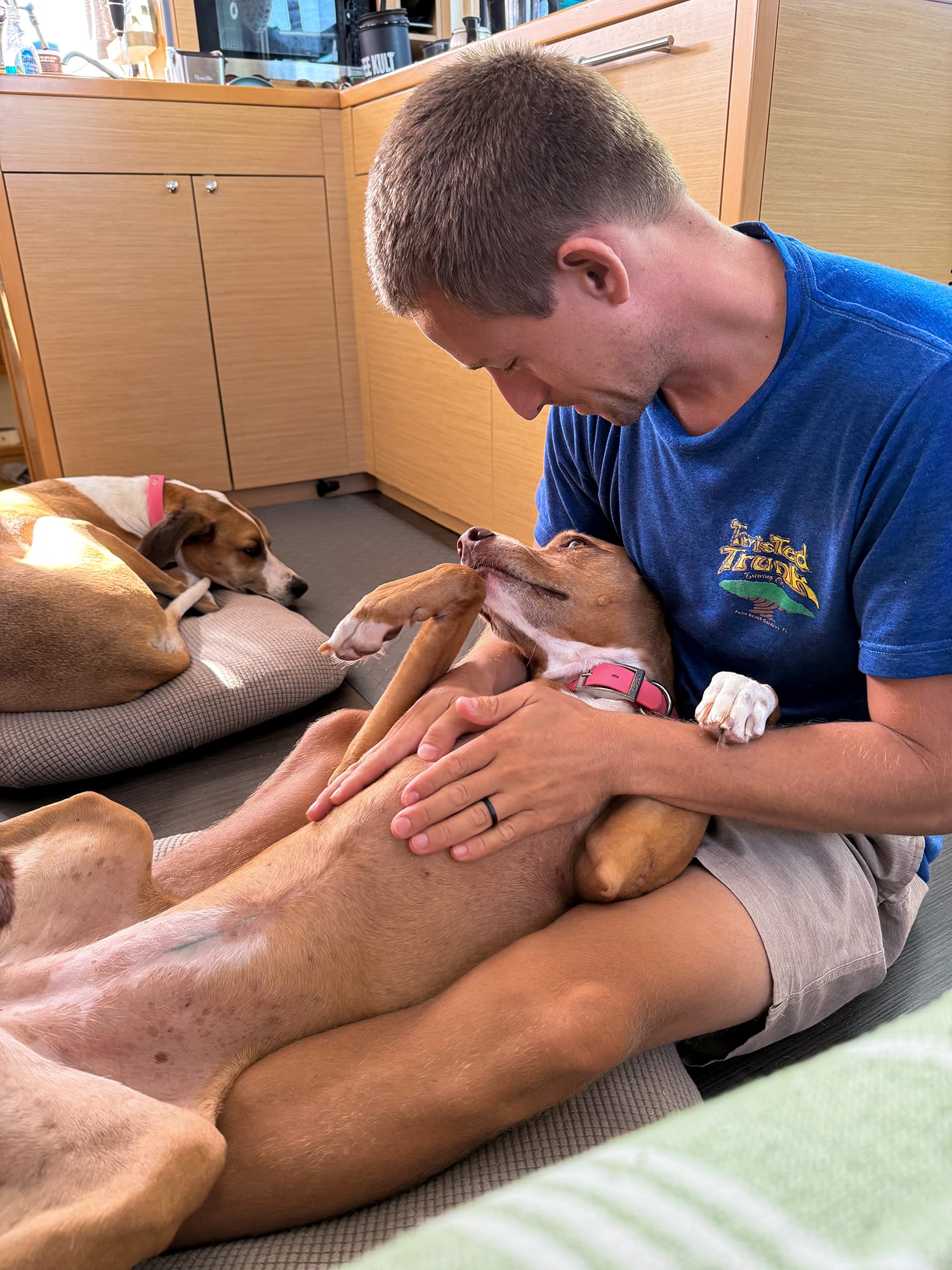 If Crabs aren’t Ducking...