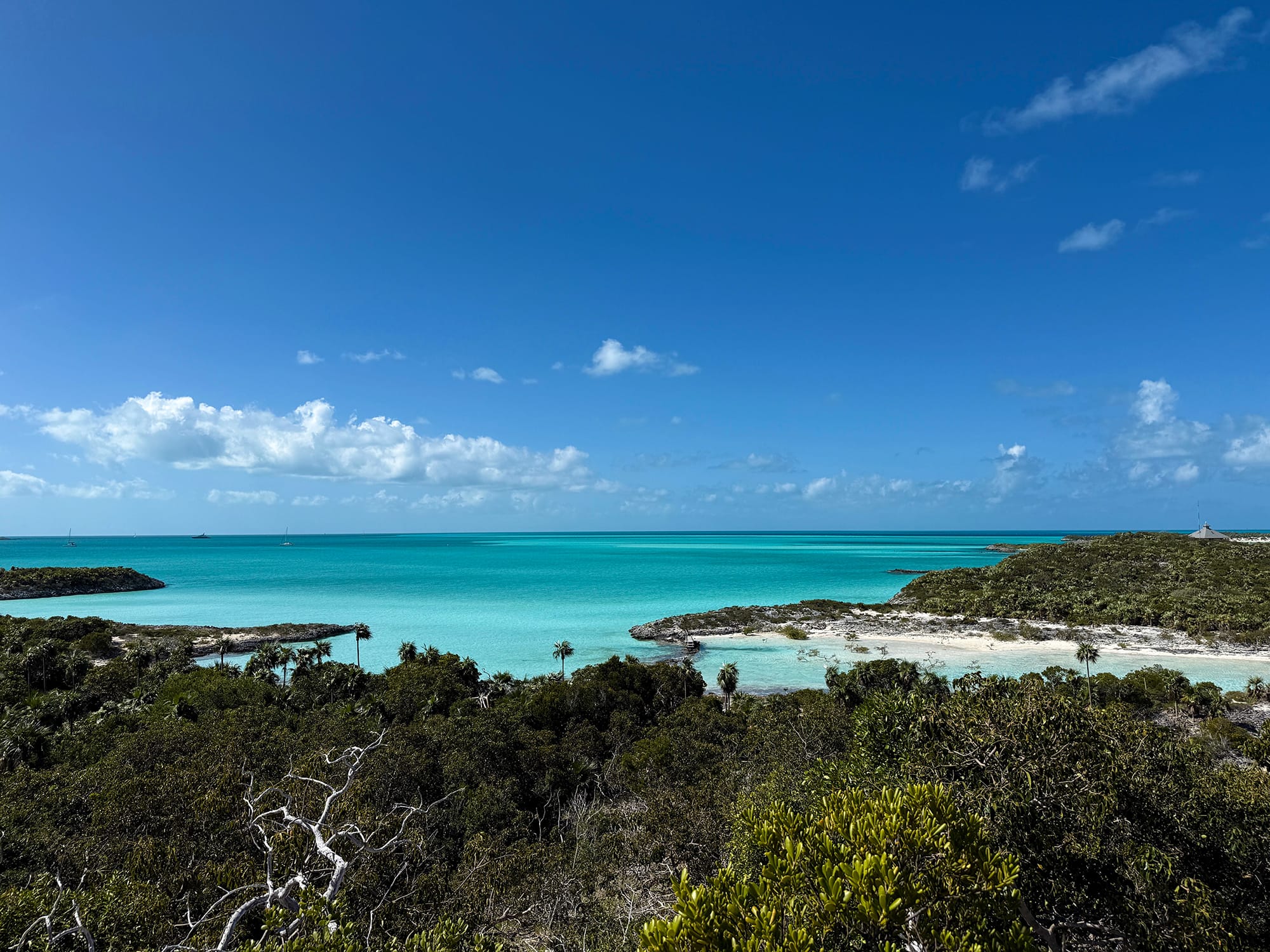 If Crabs aren’t Ducking...