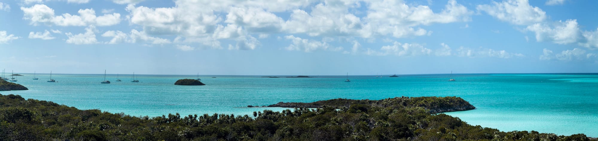 If Crabs aren’t Ducking...