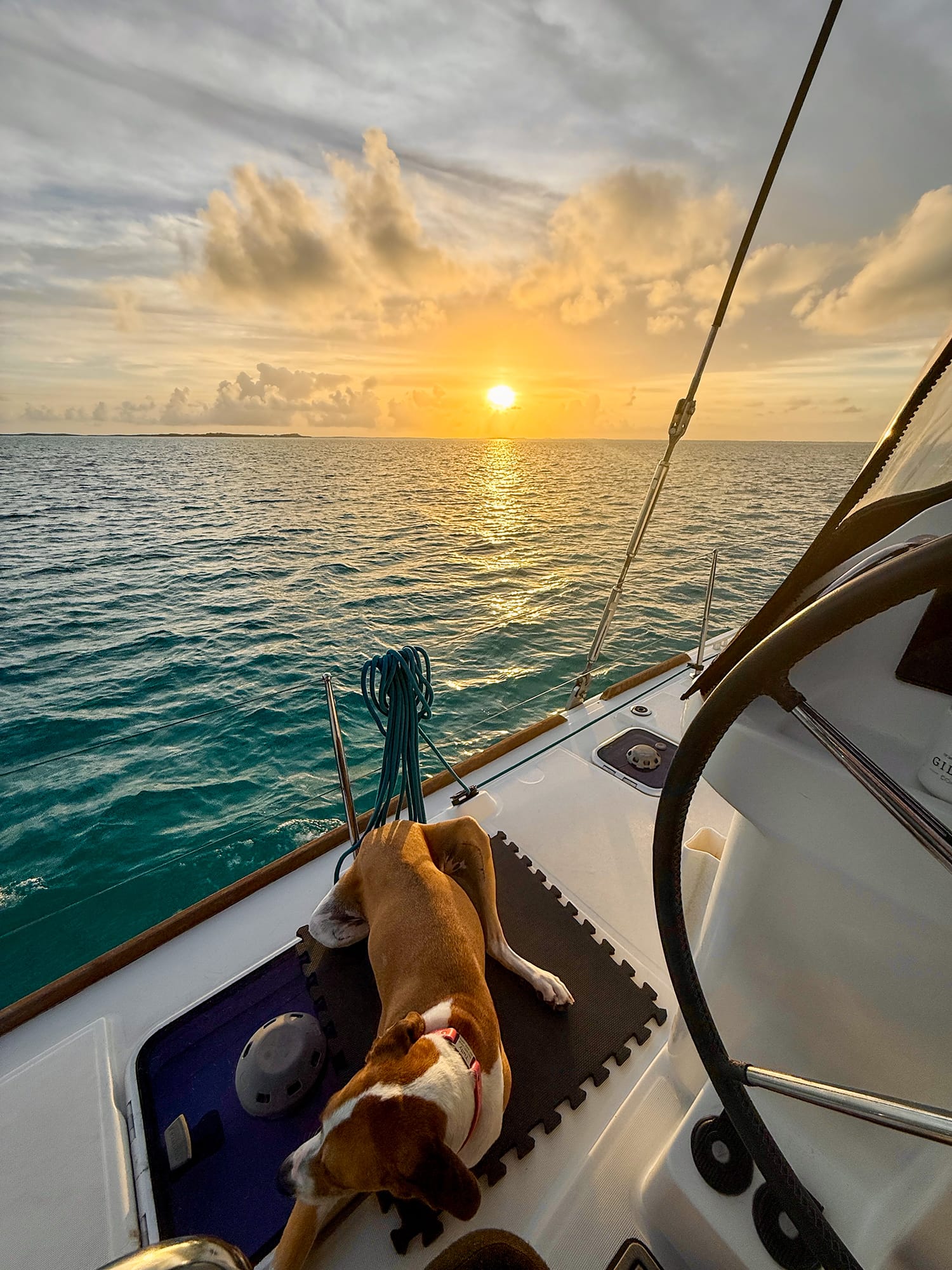 If Crabs aren’t Ducking...