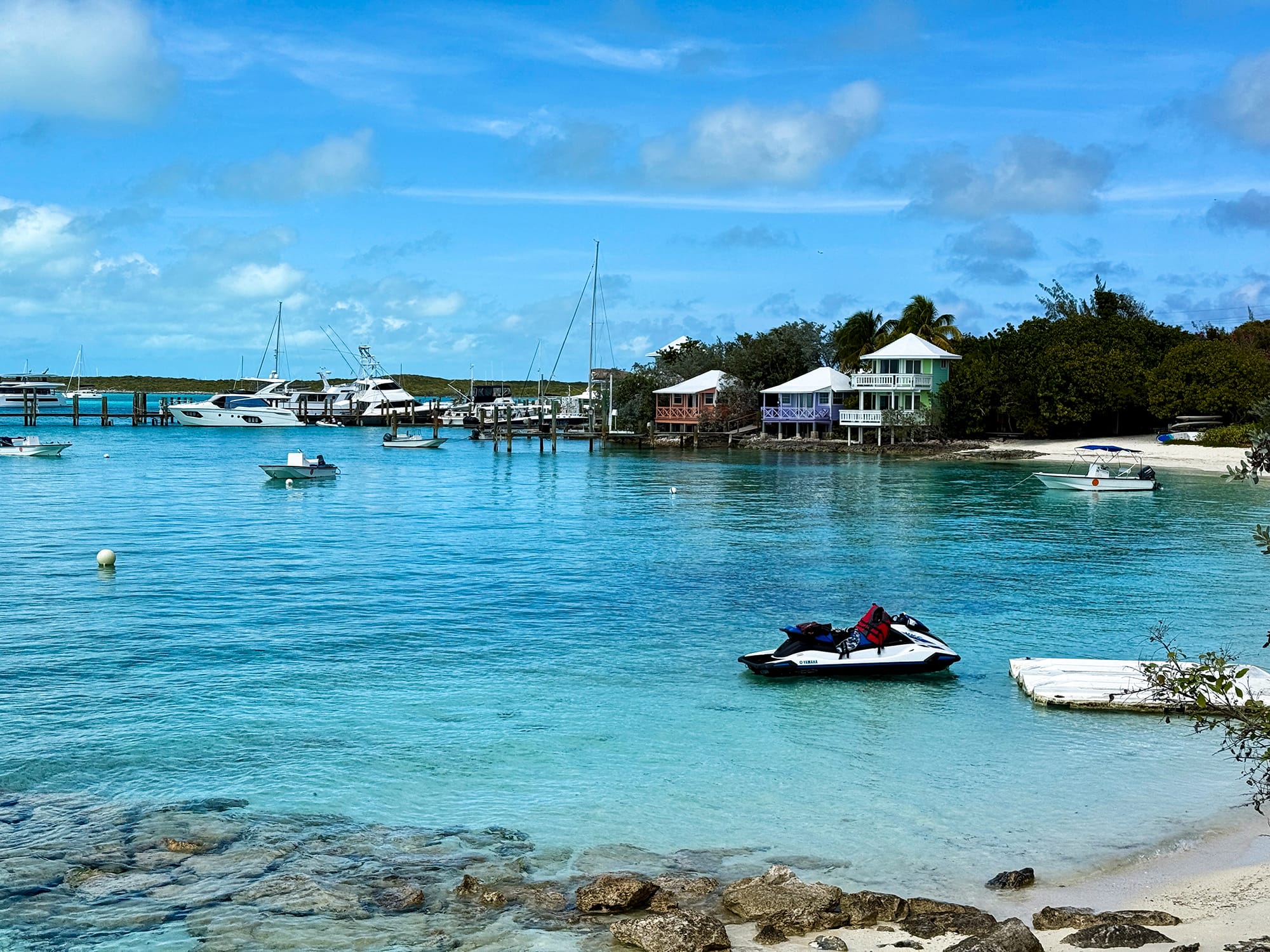 If Crabs aren’t Ducking...