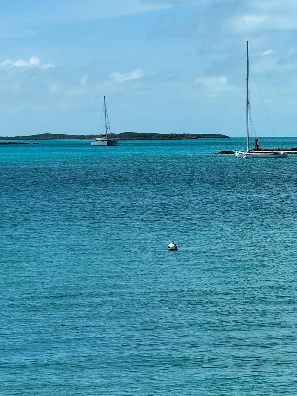 If Crabs aren’t Ducking...