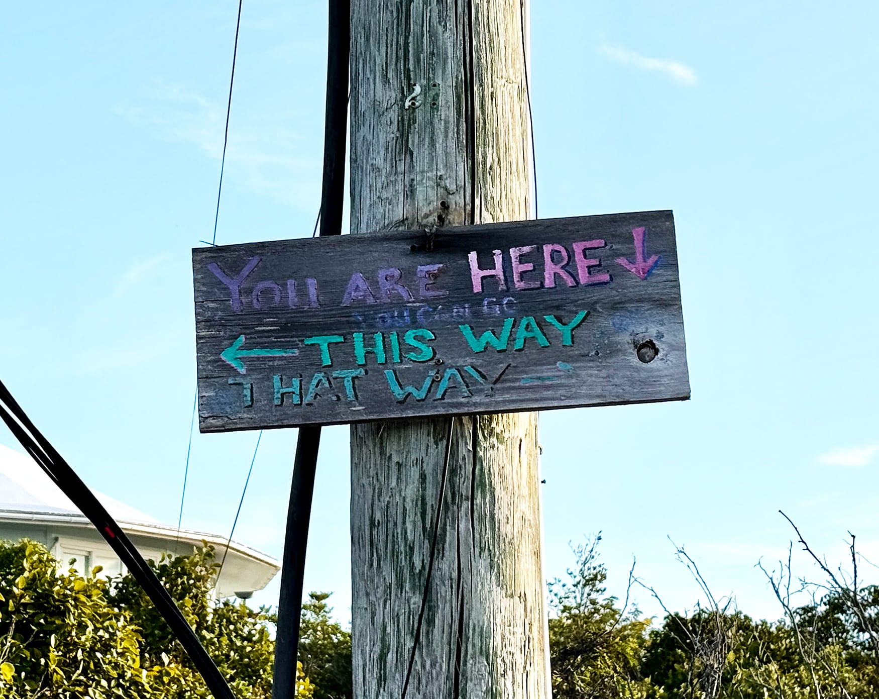 If Crabs aren’t Ducking...