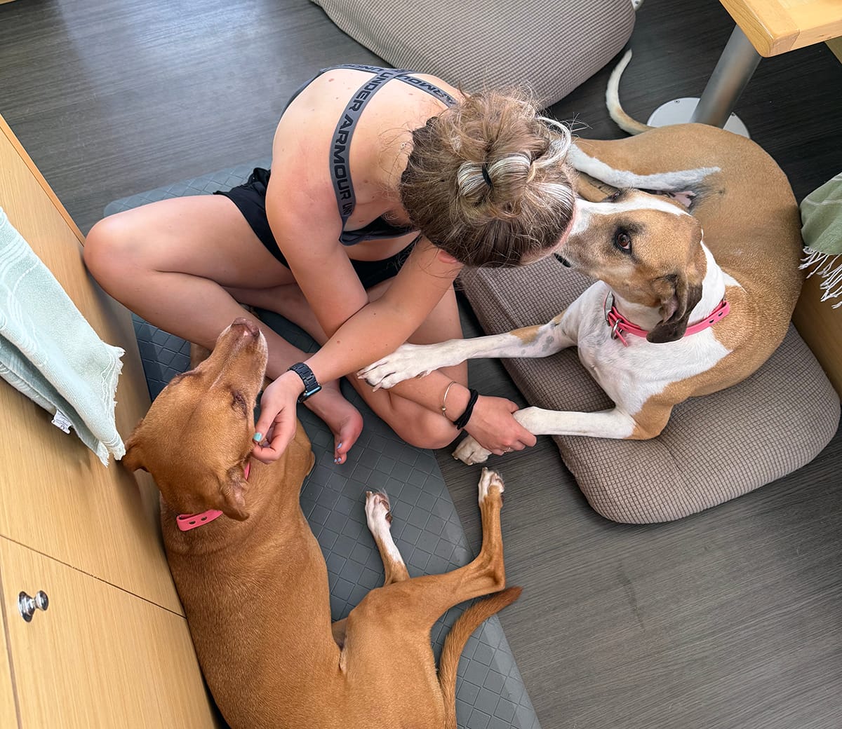 George Town Frick Takeover