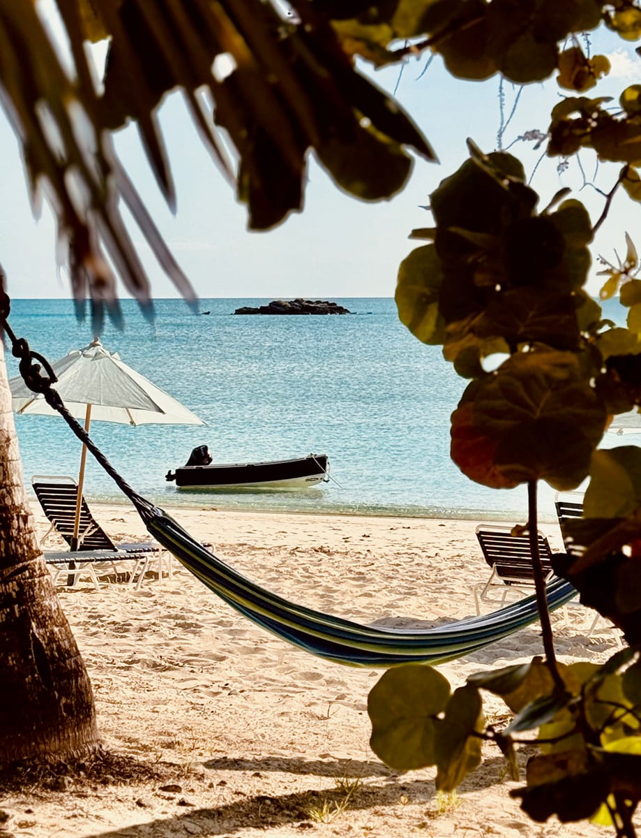 Honor Bars & Downwind Sailing