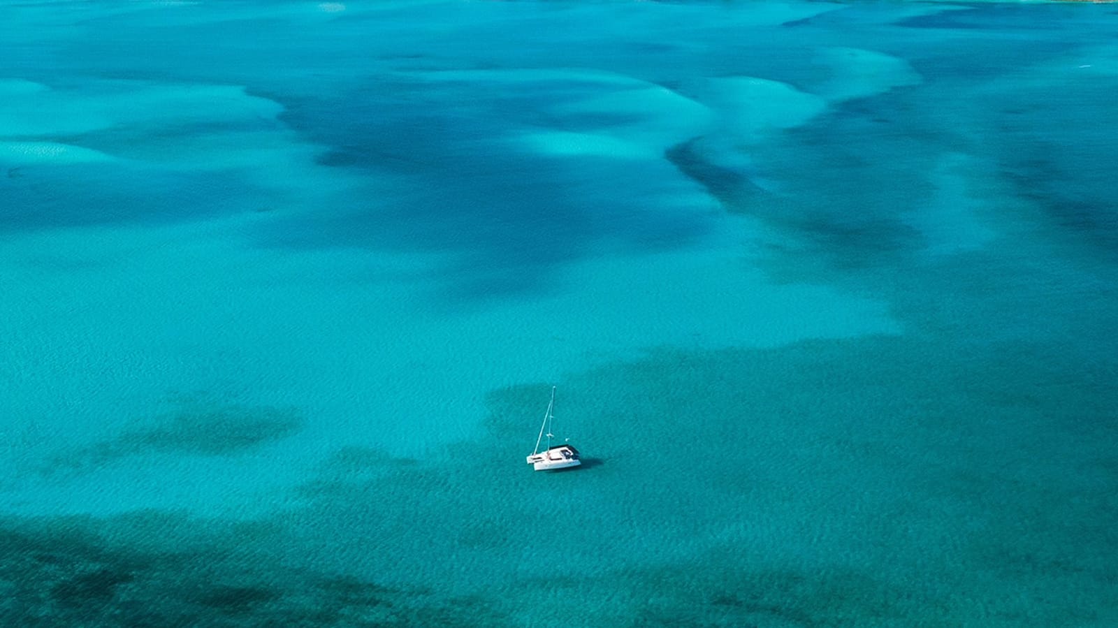 Creating Vela Nova: Tom & Nina Frick