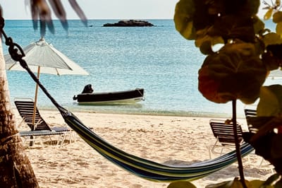 2025 Cruising Adventures